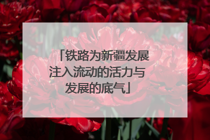 铁路为新疆发展注入流动的活力与发展的底气