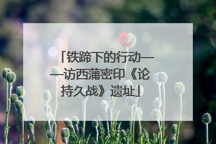 铁蹄下的行动——访西蒲密印《论持久战》遗址