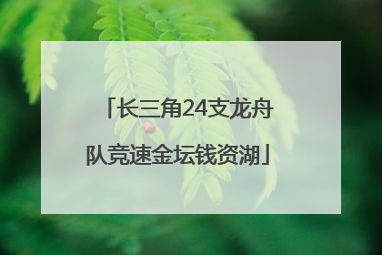 长三角24支龙舟队竞速金坛钱资湖