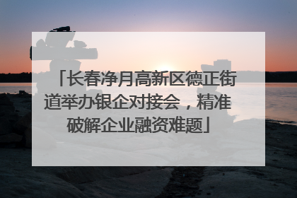 长春净月高新区德正街道举办银企对接会，精准破解企业融资难题