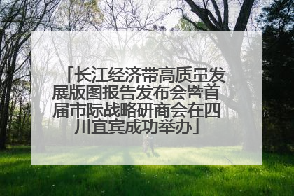 长江经济带高质量发展版图报告发布会暨首届市际战略研商会在四川宜宾成功举办
