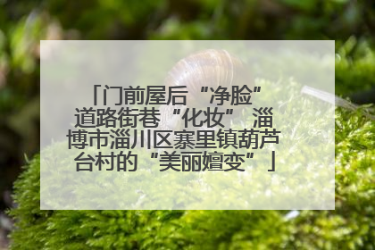门前屋后“净脸” 道路街巷“化妆” 淄博市淄川区寨里镇葫芦台村的“美丽嬗变”