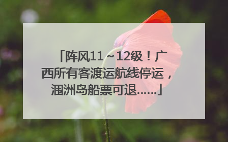 阵风11～12级！广西所有客渡运航线停运，涠洲岛船票可退……