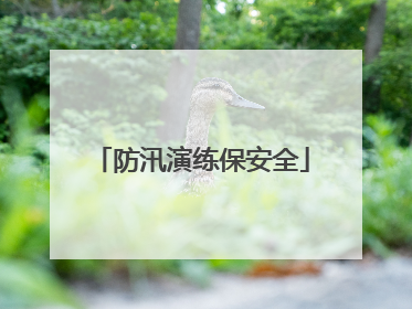 防汛演练保安全