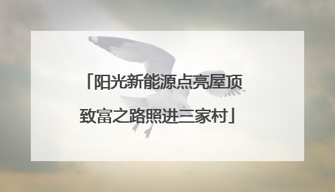 阳光新能源点亮屋顶 致富之路照进三家村