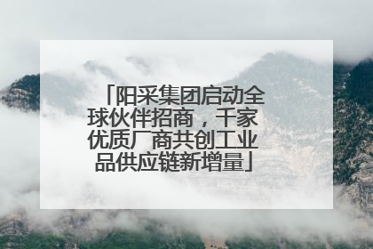 阳采集团启动全球伙伴招商，千家优质厂商共创工业品供应链新增量