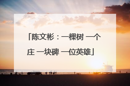 陈文彬：一棵树 一个庄 一块碑 一位英雄