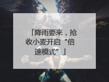 降雨要来，抢收小麦开启“倍速模式”
