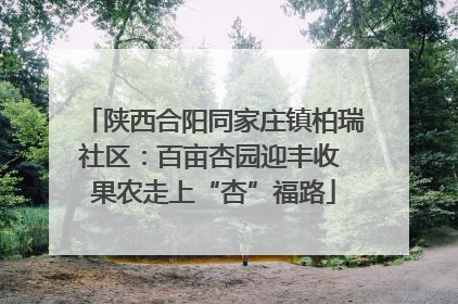 陕西合阳同家庄镇柏瑞社区：百亩杏园迎丰收 果农走上“杏”福路