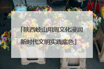 陕西岐山用周文化浸润新时代文明实践底色