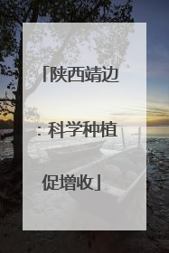 陕西靖边：科学种植促增收