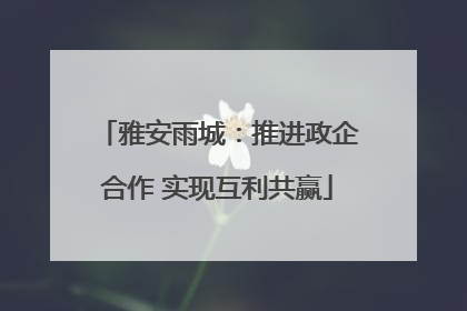 雅安雨城：推进政企合作 实现互利共赢