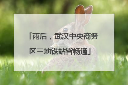 雨后，武汉中央商务区三地铁站皆畅通