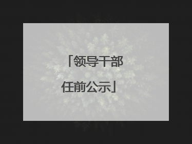 领导干部任前公示