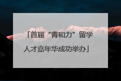 首届“青和力”留学人才嘉年华成功举办