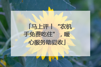 马上评丨“农机手免费吃住”，暖心服务助夏收