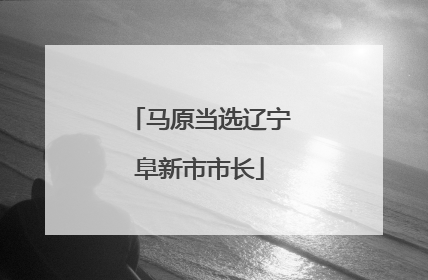 马原当选辽宁阜新市市长