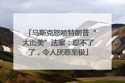 马斯克怒喷特朗普“大而美”法案：忍不了了，令人厌恶至极