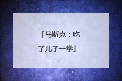 马斯克：吃了儿子一拳