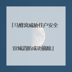 马蜂窝威胁住户安全 宣城消防成功摘除