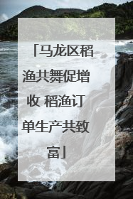马龙区稻渔共舞促增收 稻渔订单生产共致富