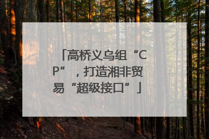 高桥义乌组“CP”，打造湘非贸易“超级接口”
