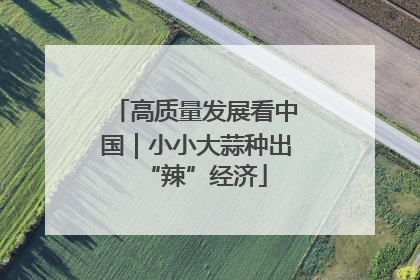 高质量发展看中国｜小小大蒜种出“辣”经济