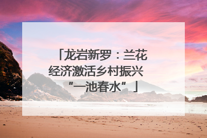 龙岩新罗：兰花经济激活乡村振兴“一池春水”