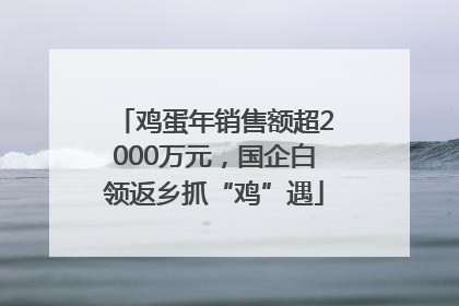 鸡蛋年销售额超2000万元，国企白领返乡抓“鸡”遇
