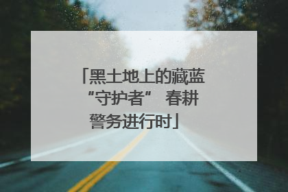黑土地上的藏蓝“守护者” 春耕警务进行时
