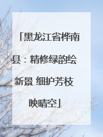 黑龙江省桦南县：精修绿韵绘新景 细护芳枝映晴空