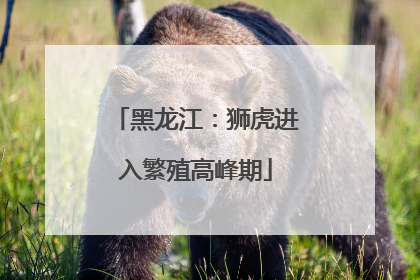 黑龙江：狮虎进入繁殖高峰期