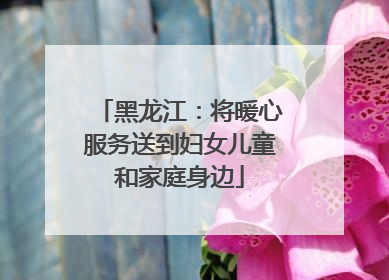 黑龙江：将暖心服务送到妇女儿童和家庭身边