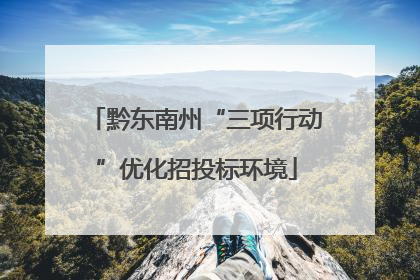 黔东南州“三项行动”优化招投标环境
