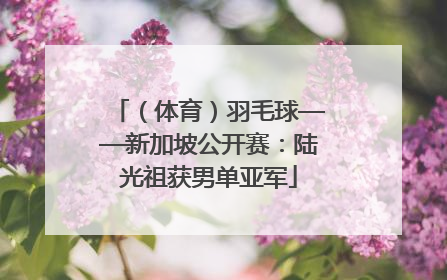 （体育）羽毛球——新加坡公开赛：陆光祖获男单亚军