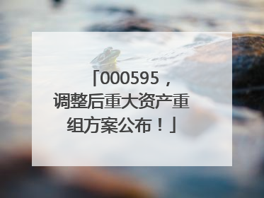 000595，调整后重大资产重组方案公布！