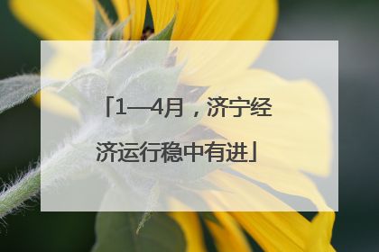 1—4月，济宁经济运行稳中有进