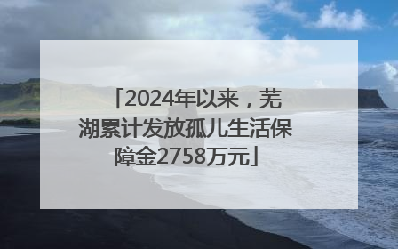 2024年以来，芜湖累计发放孤儿生活保障金2758万元