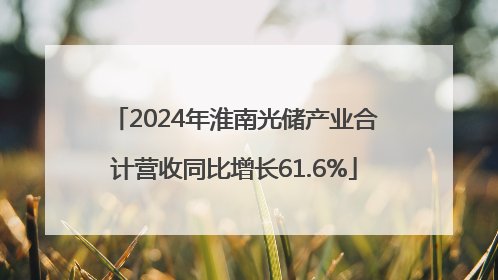 2024年淮南光储产业合计营收同比增长61.6%