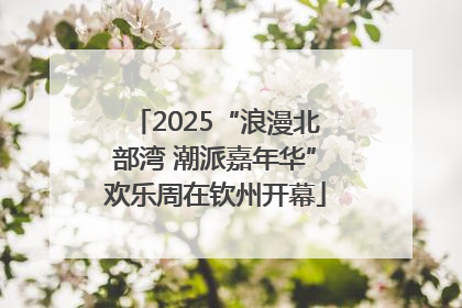 2025“浪漫北部湾 潮派嘉年华”欢乐周在钦州开幕