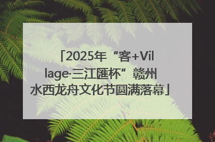 2025年“客+Village·三江匯杯”赣州水西龙舟文化节圆满落幕