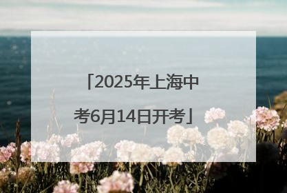 2025年上海中考6月14日开考