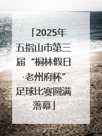 2025年五指山市第三届“桐林假日·老州府杯”足球比赛圆满落幕