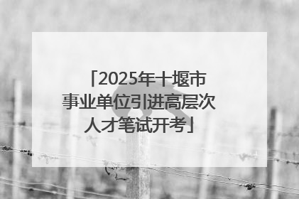2025年十堰市事业单位引进高层次人才笔试开考