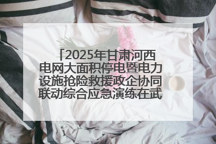 2025年甘肃河西电网大面积停电暨电力设施抢险救援政企协同联动综合应急演练在武威成功举行