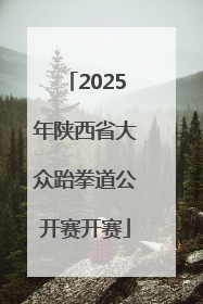 2025年陕西省大众跆拳道公开赛开赛