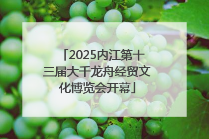 2025内江第十三届大千龙舟经贸文化博览会开幕