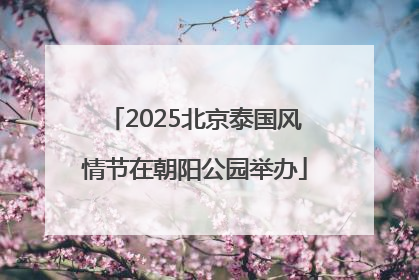 2025北京泰国风情节在朝阳公园举办