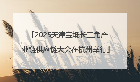 2025天津宝坻长三角产业链供应链大会在杭州举行