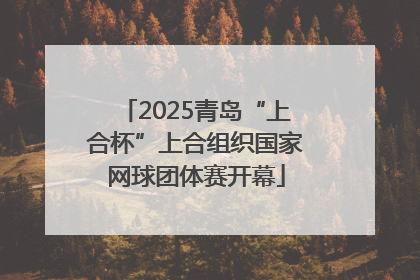 2025青岛“上合杯”上合组织国家网球团体赛开幕